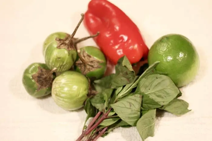 Fresh ingredients for thai green curry including 4-5 thai eggplant, red bell pepper, thai basil, and lime