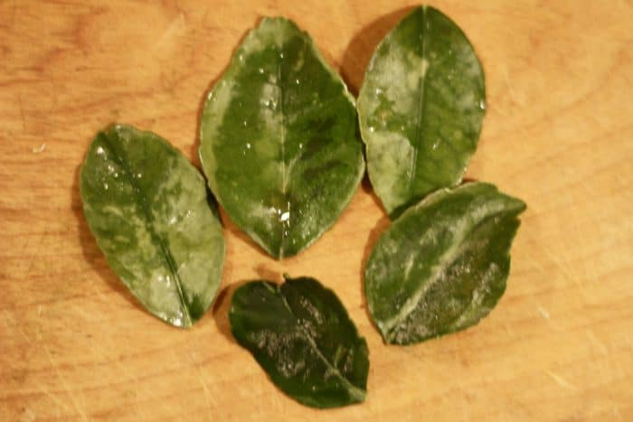 lime leaf ready to be cooked in thai green curry