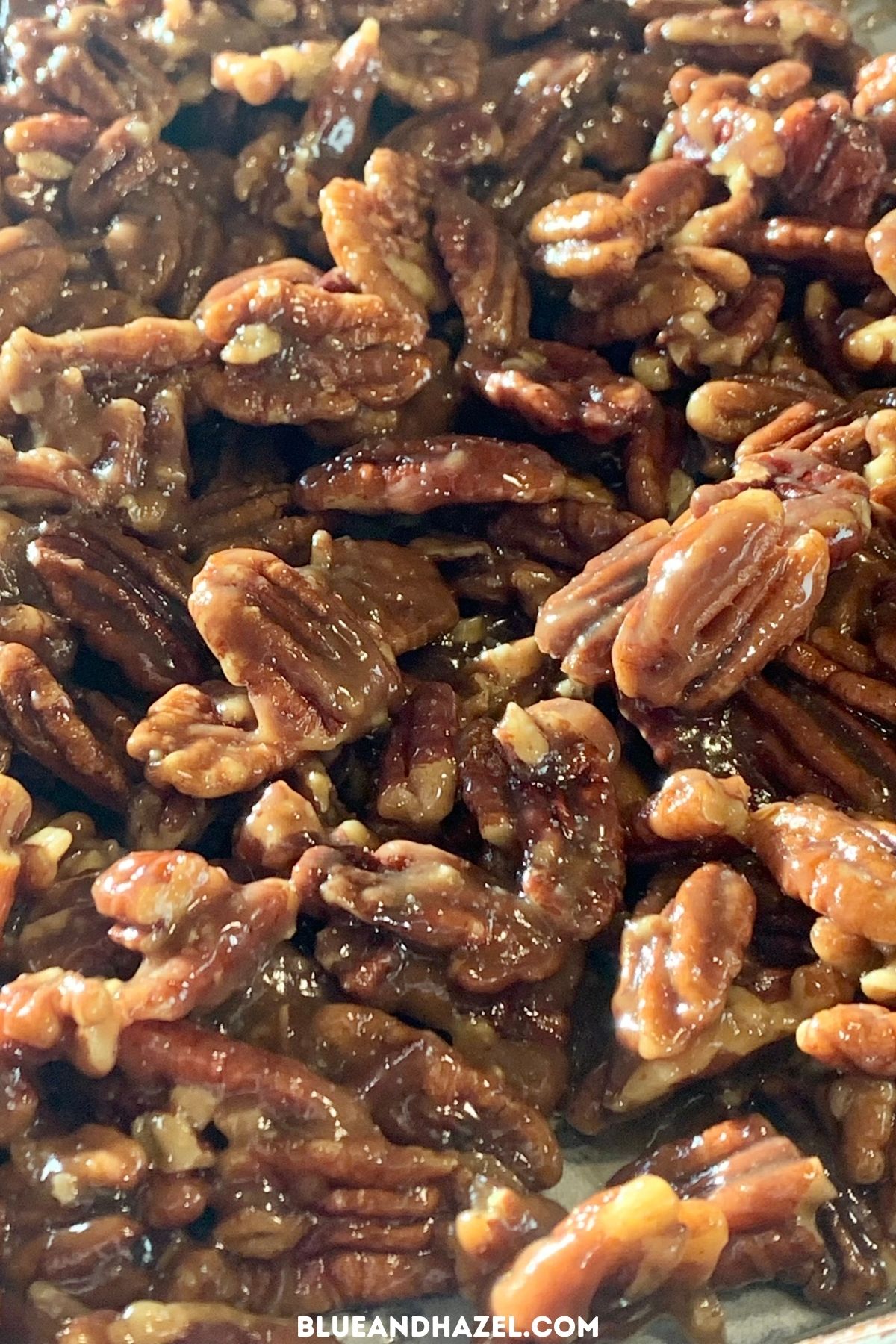 a close up of glazed candied pecans