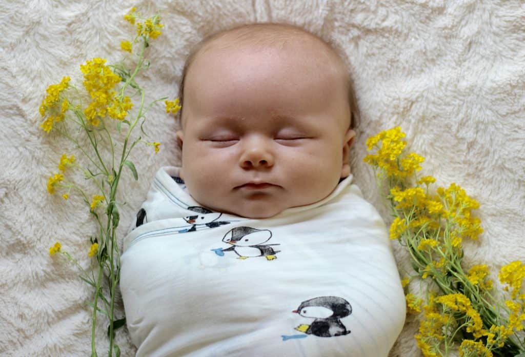 Tips for taking better newborn photos + Nested Bean swaddle giveaway!