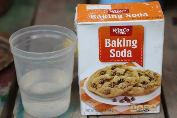 Baking soda, vinegar, and a medicine syringe outside will keep them SO excited and just rinse it all away with some water at the end. 