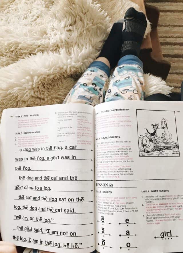 Review Of Teach Your Child To Read In 100 Easy Lessons A No Prep