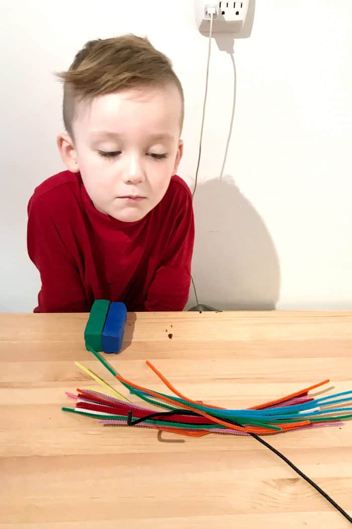 waiting patiently to make a stop motion video using Goldfish crackers