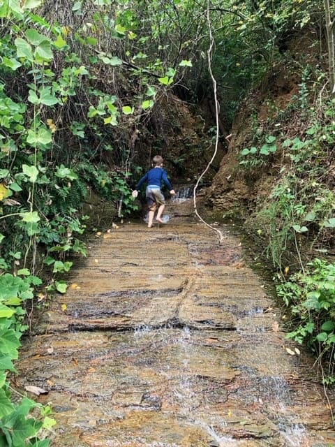 A kindergarten boy climbing up a rocky waterfall.