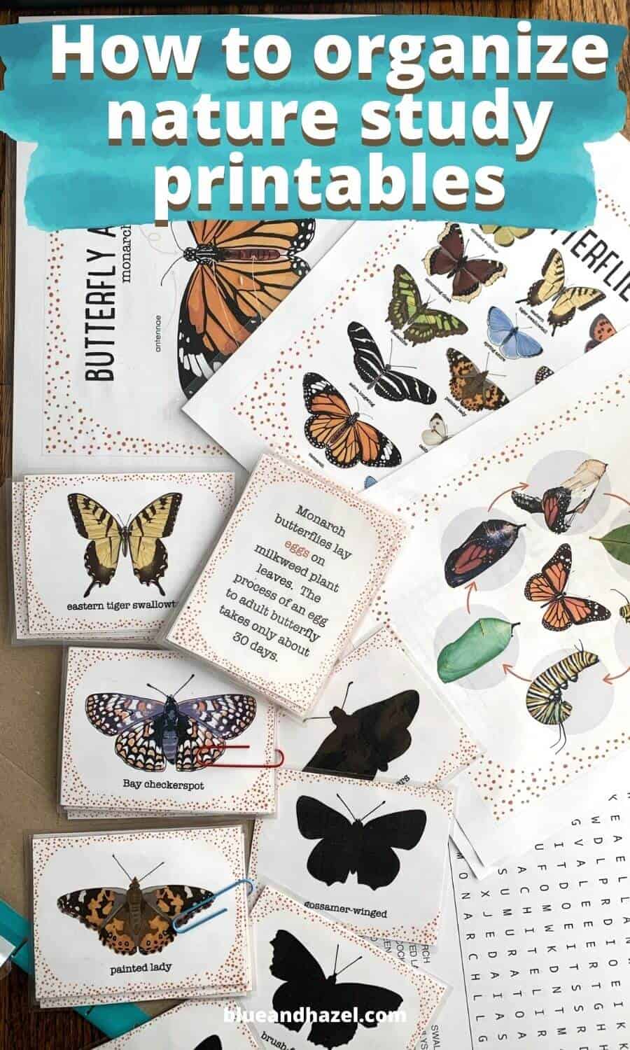 Butterfly Unit Study: exploring nature with children filing system