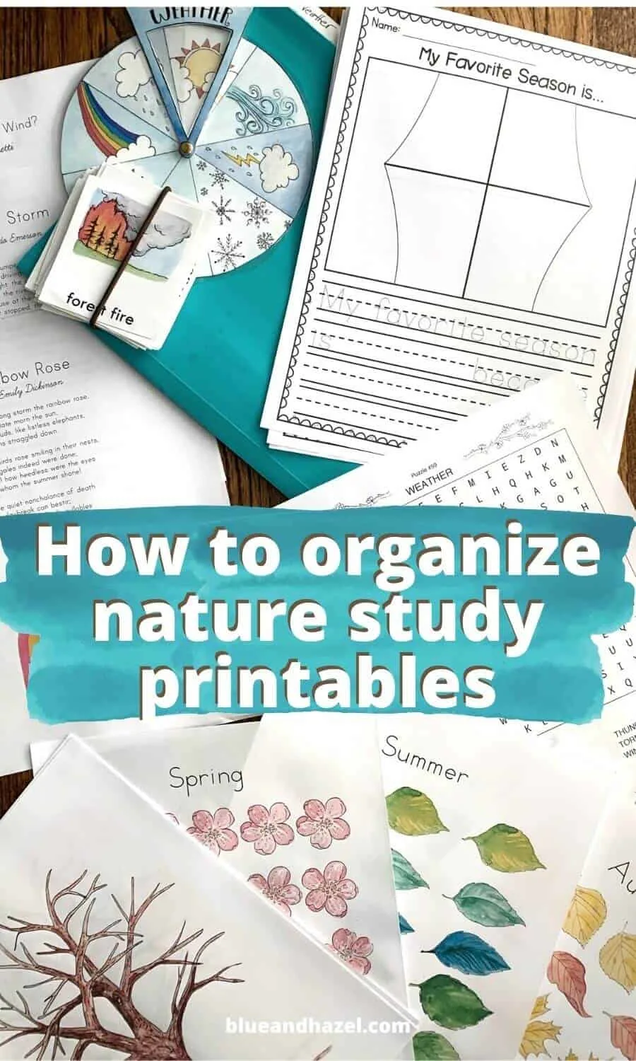 Weather Unit Printables organized using a filing system for nature study units