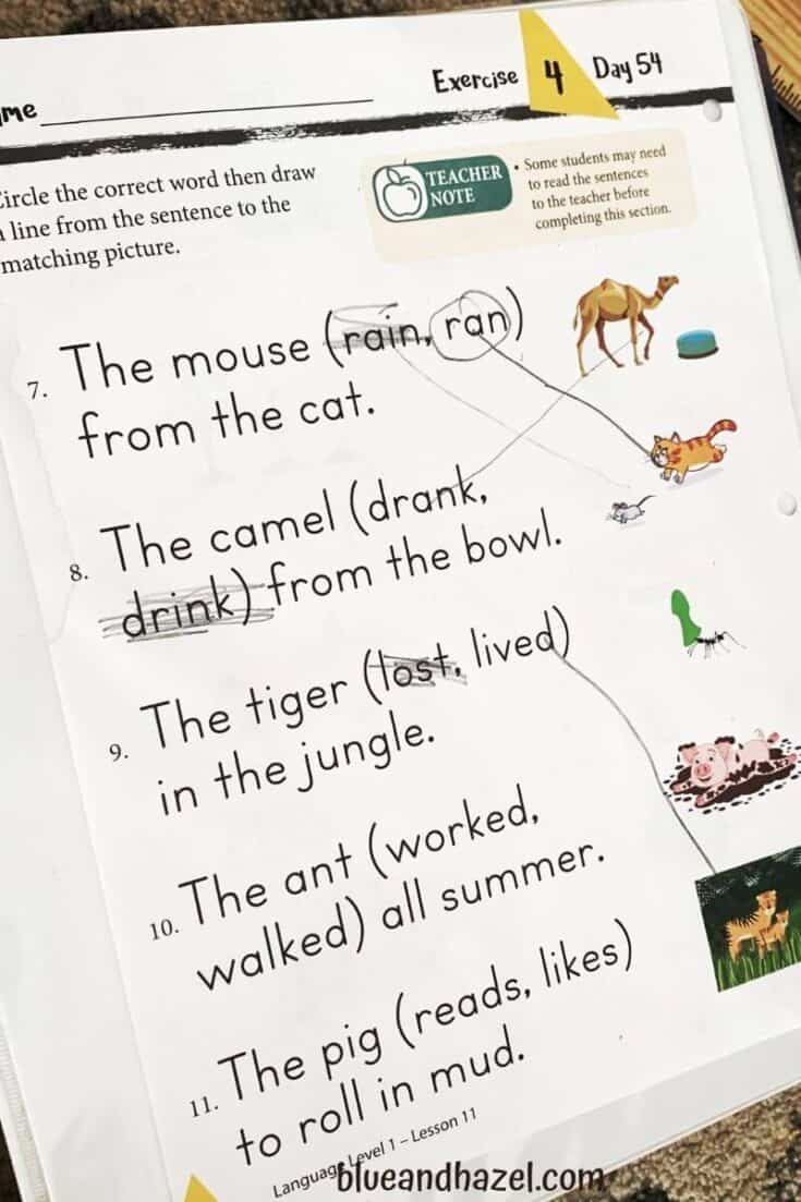 Worksheet from Masterbooks Level 1 Language Arts