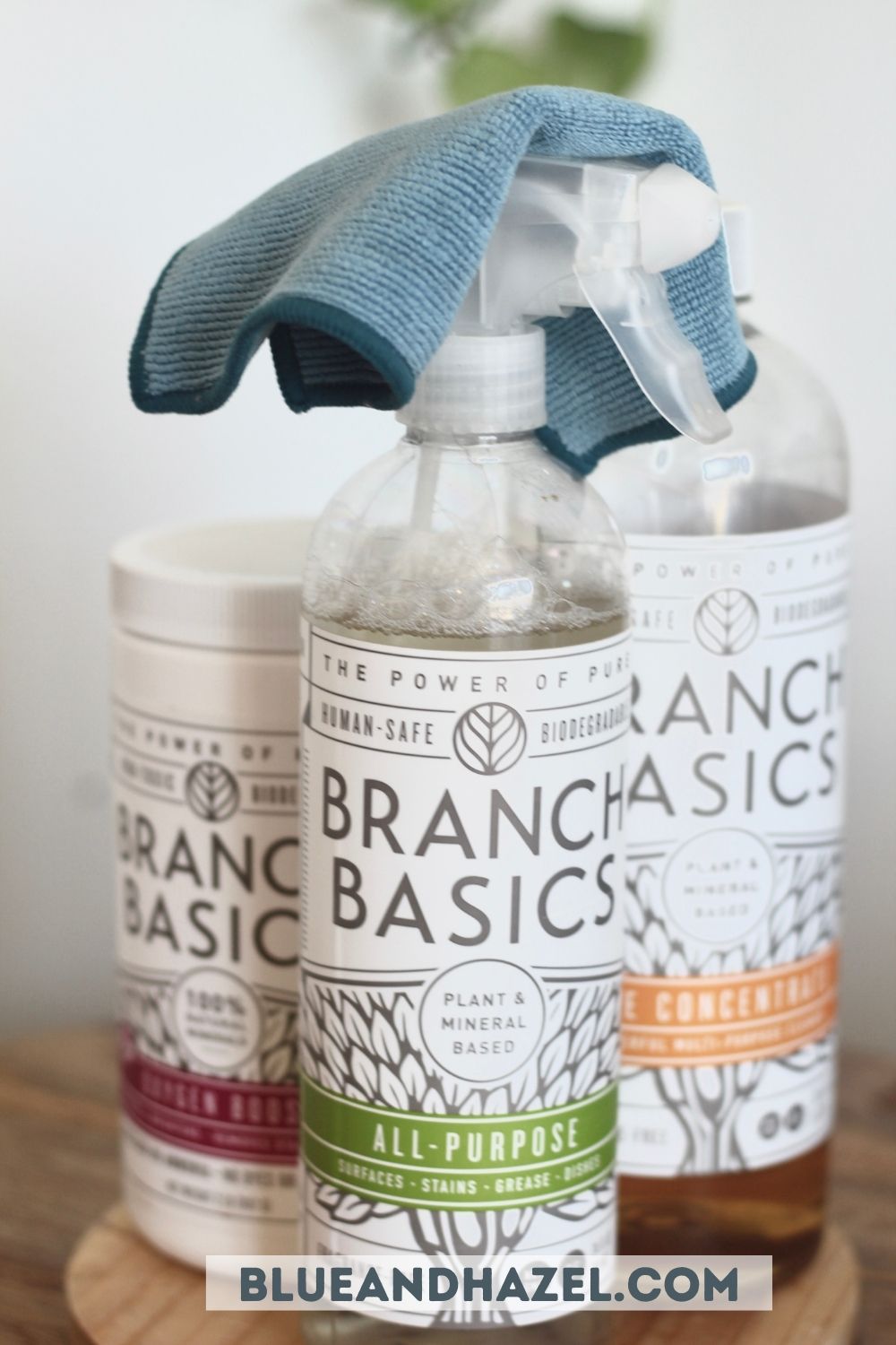 Branch Basics all purpose cleaner, bottle of concentrate, and oxygen boost with a blue rag.
