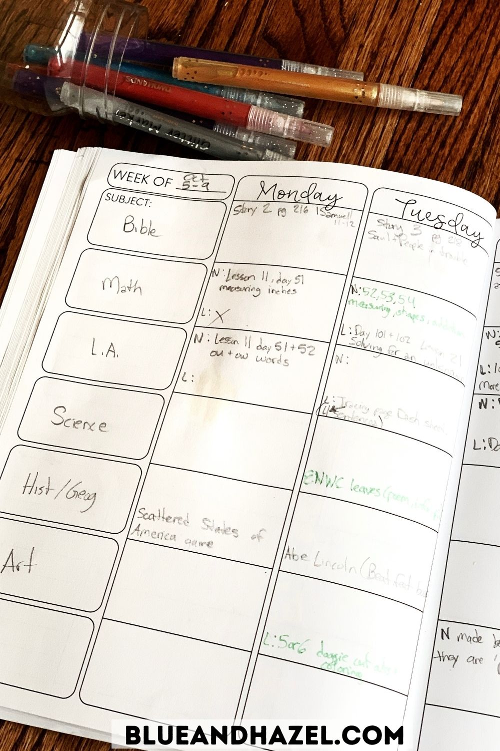 Very simple homeschool planner with activities written in after they happen