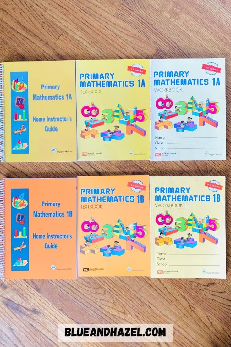 All 6 books needed for 1 year of Singapore Math Primary US Edition