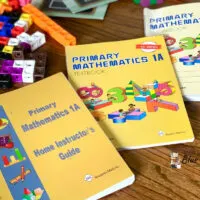 Singapore math for homeschooling review 1st grade books