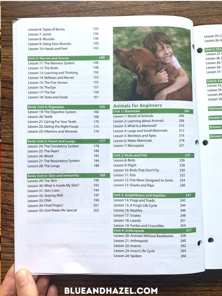 homeschool-curriculum-for-1st-and-2nd-grade-2021-2022-blue-and-hazel