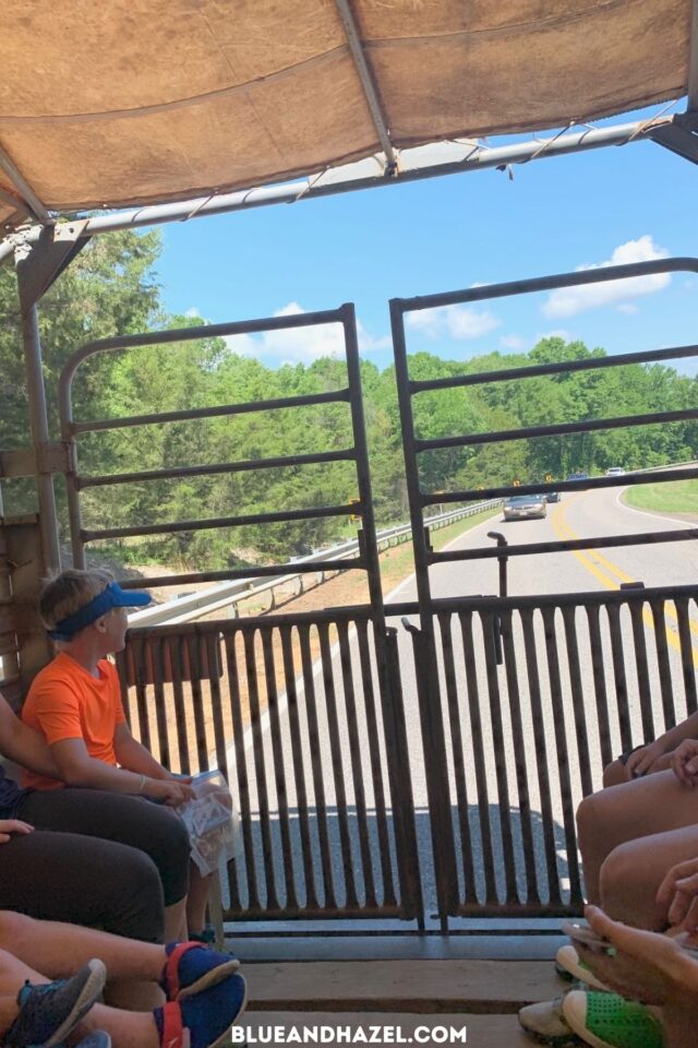 Our Visit To Shark Tooth Creek In Alabama With Kids Blue and Hazel