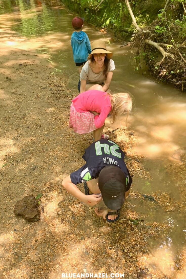 Digging for shark teeth as a family activity with a group 