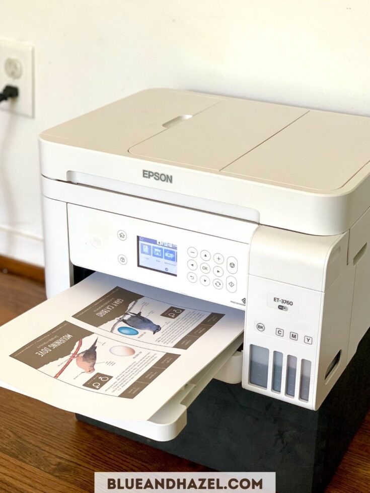 epson color printer