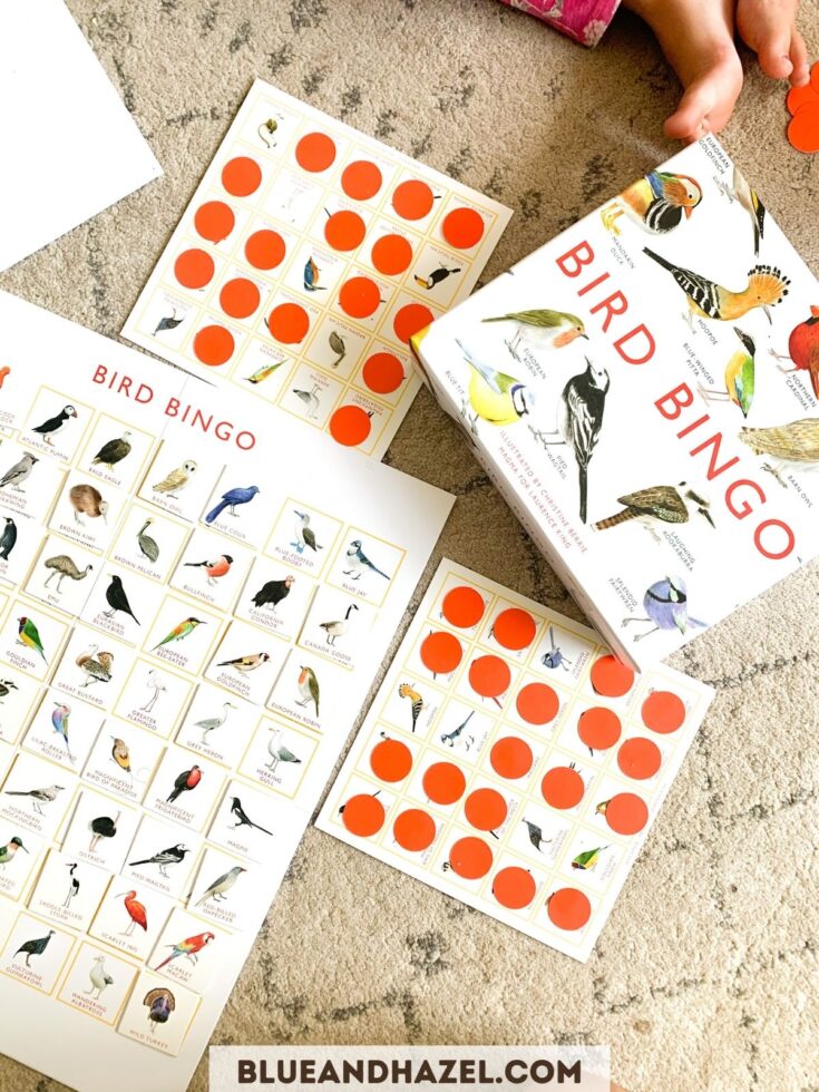 Bird bingo game being played