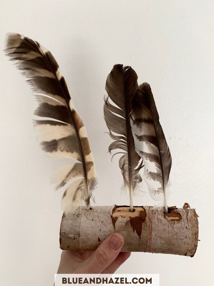 3 feathers inside of a small yule log for display