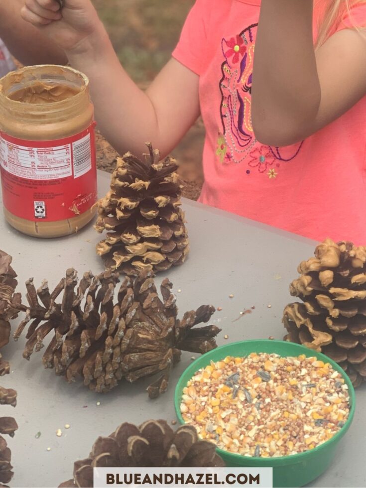 pinecones with bird seed and peanut butter