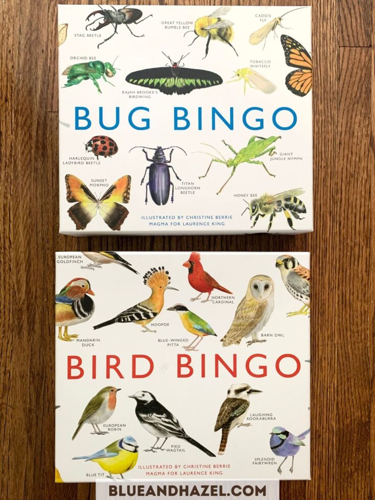 bird bingo and bug bingo in their boxes