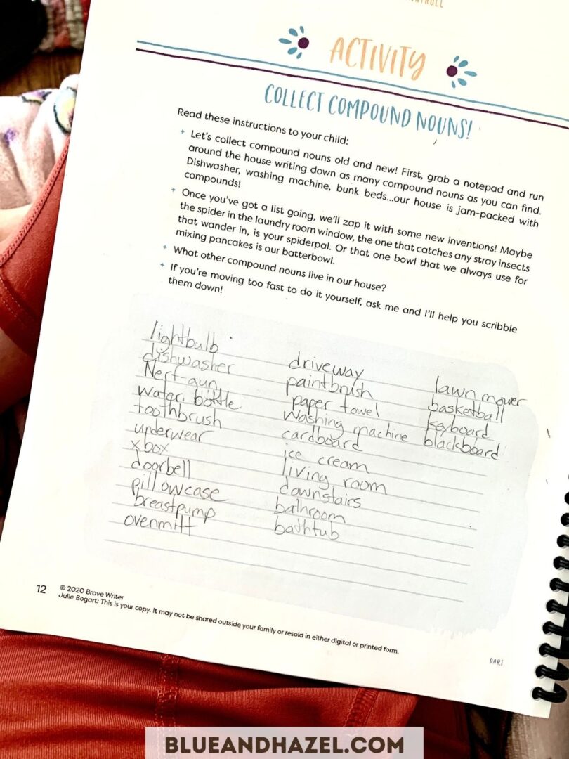 All You Need To Know About Brave Writer Darts And How To Use Them