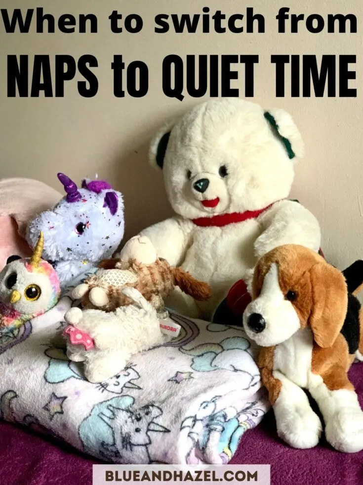 Stuffed animals and a unicorn blanket used for toddler nap time