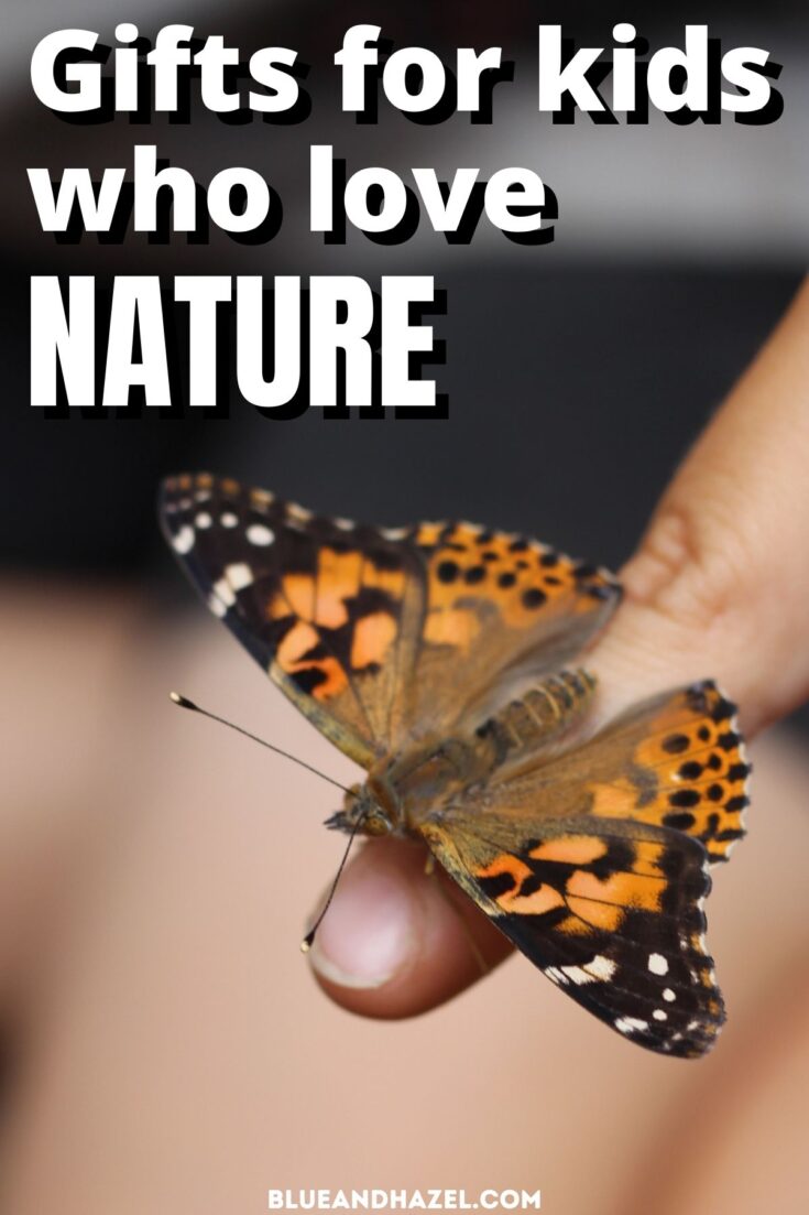 butterfly from a caterpillar kit being released.