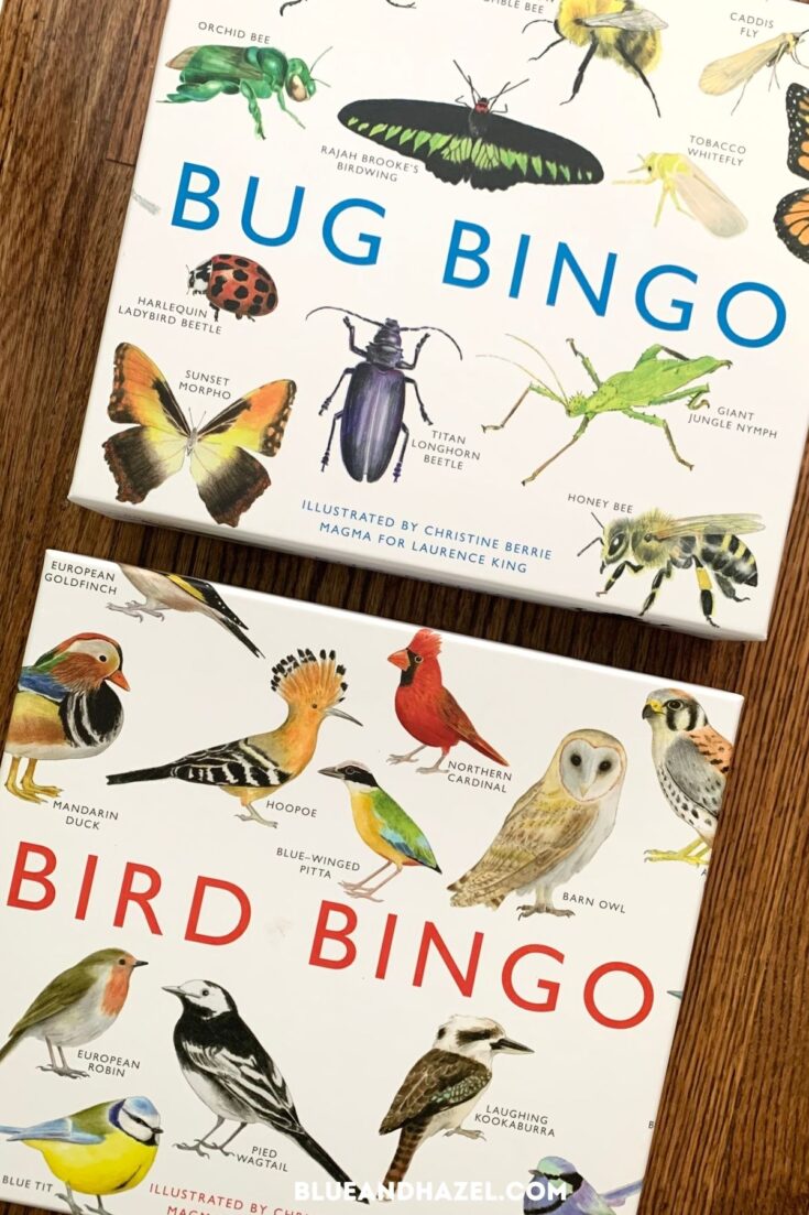 Bug bingo and bird bingo games in their boxes