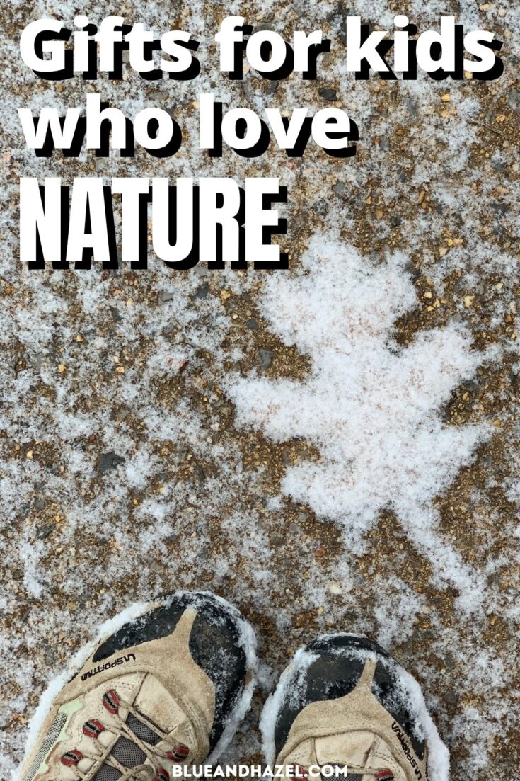 A snowflake covered leaf print on a snow dusted sidewalk next to hiking boots.