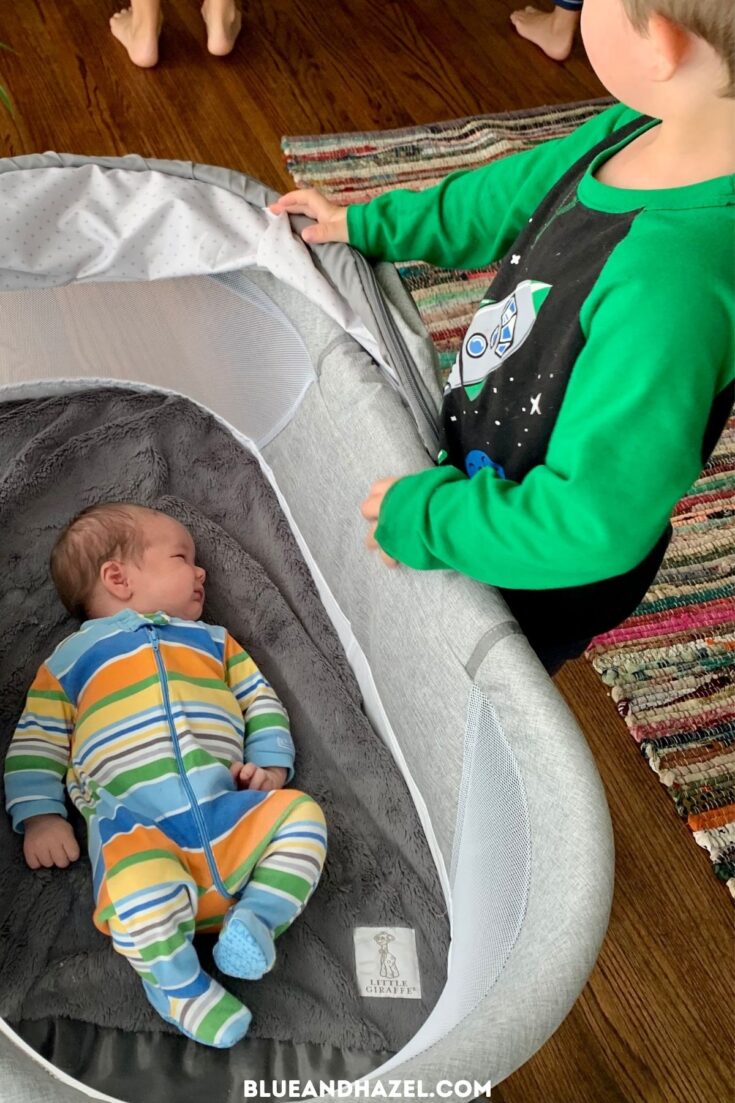 A newborn baby boy sleeping in a bassinet in the living room while his 4 year old brother looks in. 