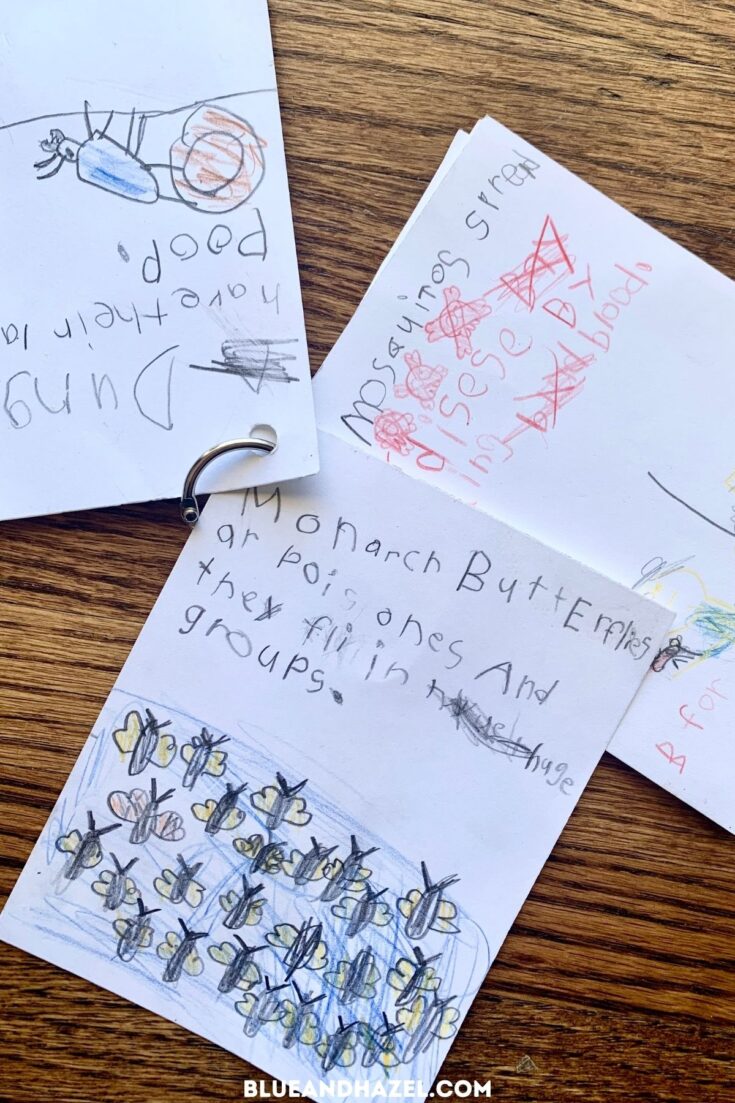 A bug mini book made by a second grader with hand drawn bugs next to facts about them. 