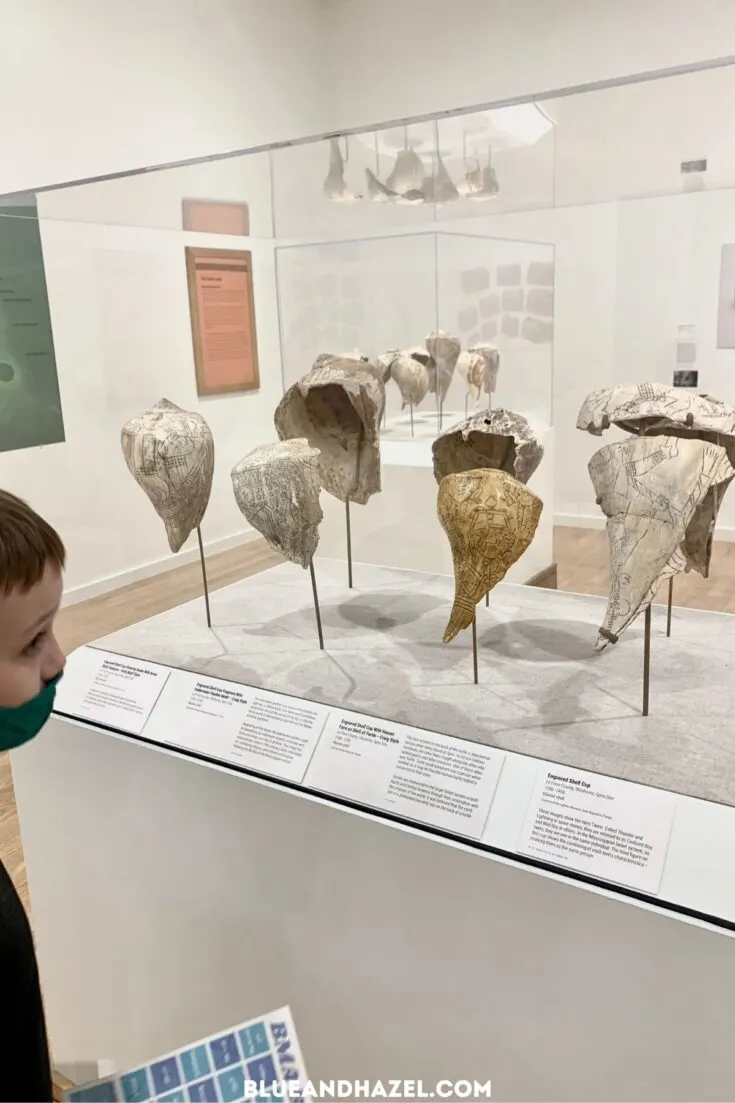 Sea shells in an art museum turned into art by the Moundbuilders indian tribe. 