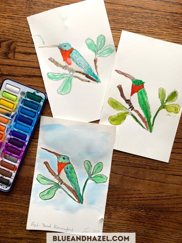 3 of the same watercolor bird ruby throated hummingbird, each painted by a different person. 