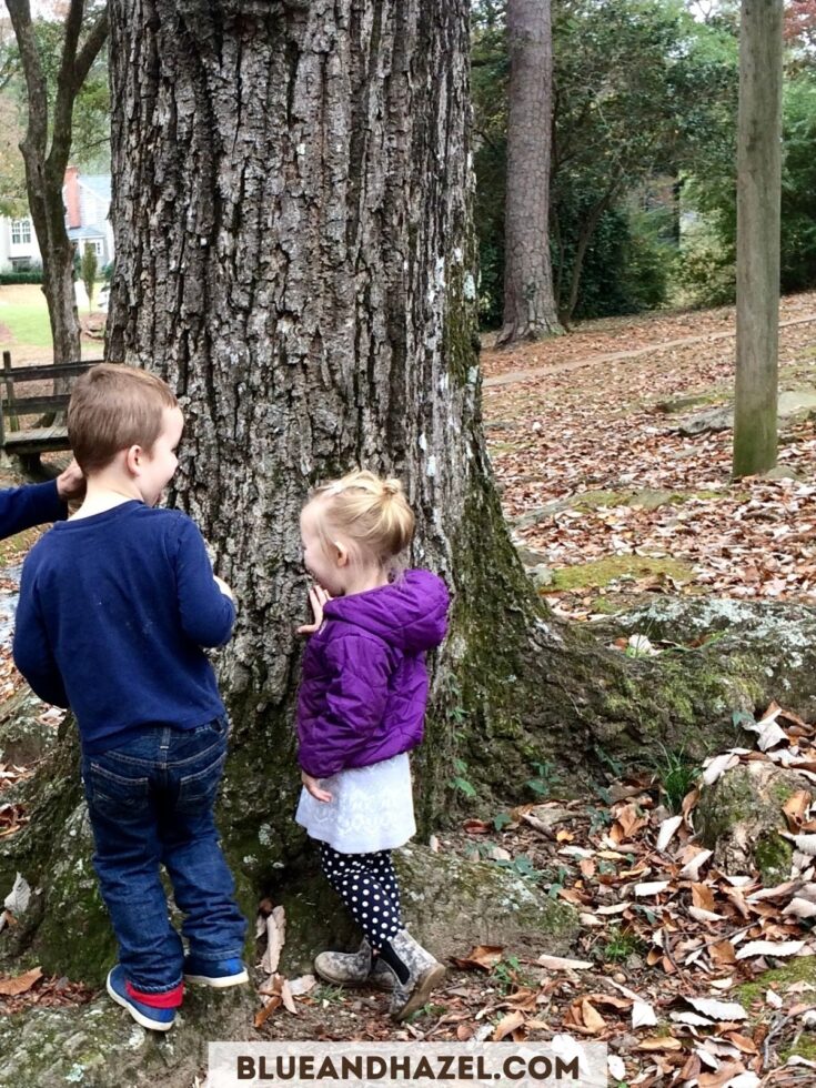 A 3 and 5 year old outside next to a tree with fall leaves on the ground. 