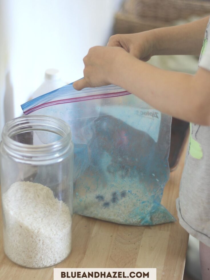 Mixing white rice in a gallon ziplock bag with blue food coloring. 