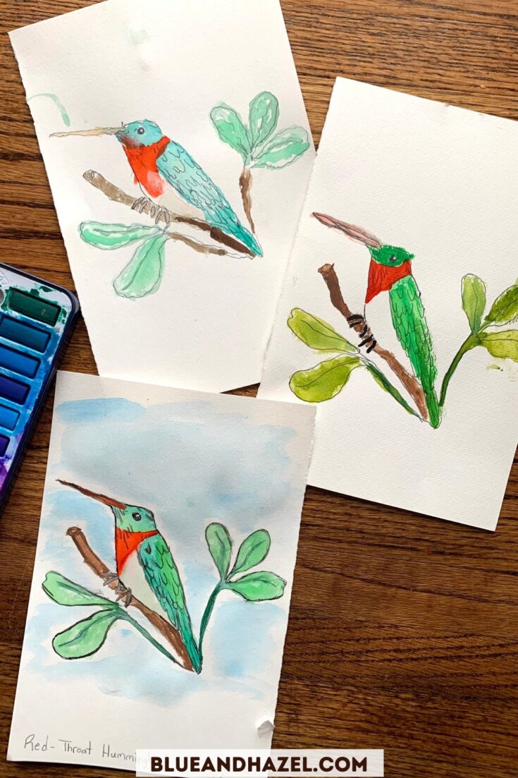 3 watercolor art pieces of a red throat hummingbird painted by a mom and her 1st and 2nd grader. 