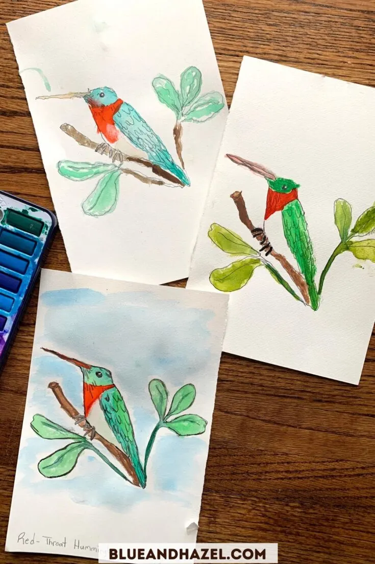 3 watercolor art pieces of a red throat hummingbird painted by a mom and her 1st and 2nd grader. 