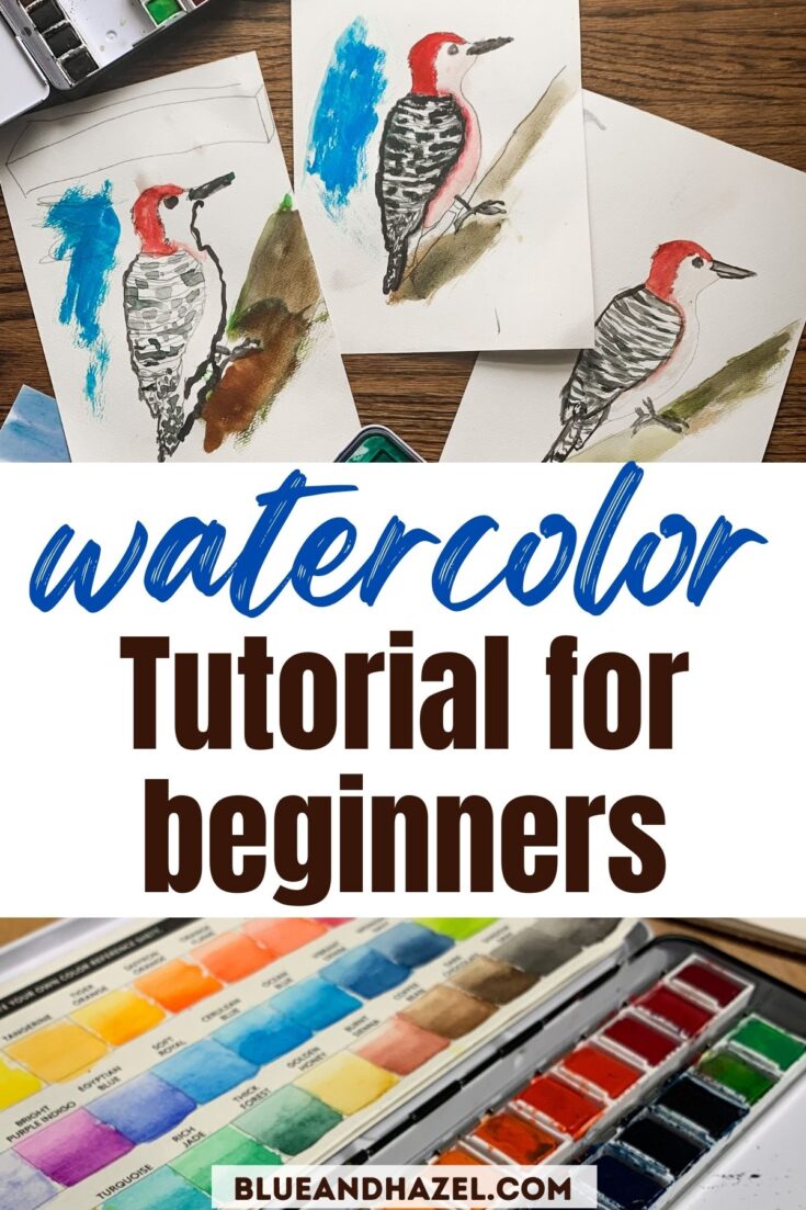 3 different watercolor paintings of a red headed woodpecker using Lily and Thistle's Free Watercolor bird tutorial! 