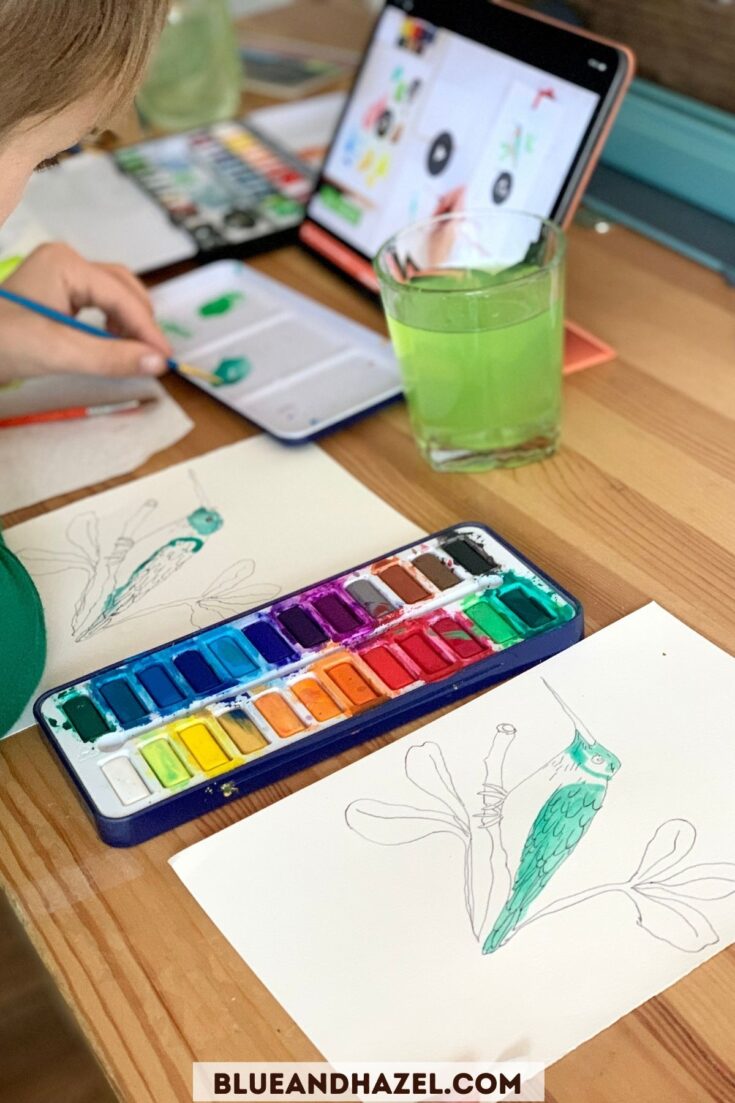 A boy watercolor painting a ruby throated hummingbird while watching the online tutorial. 