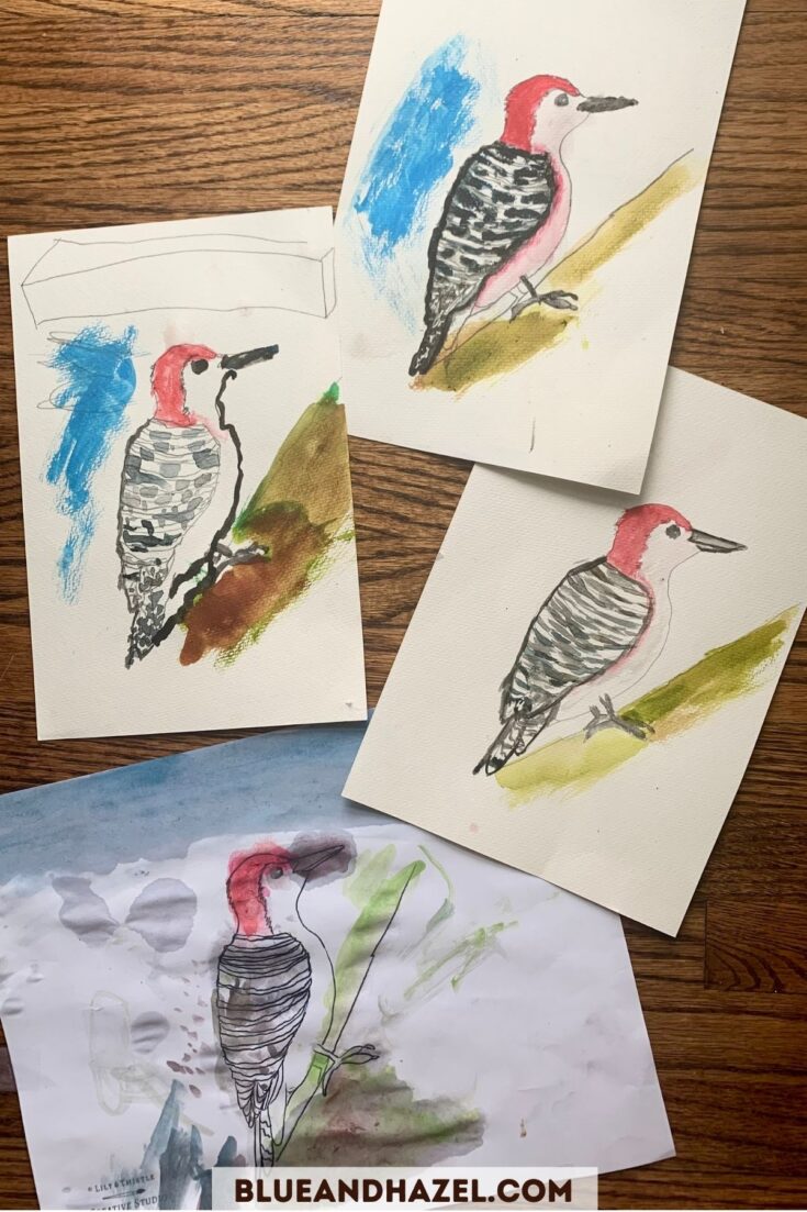 4 watercolor paintings of a red headed woodpecker by a homeschool family laid out on a table