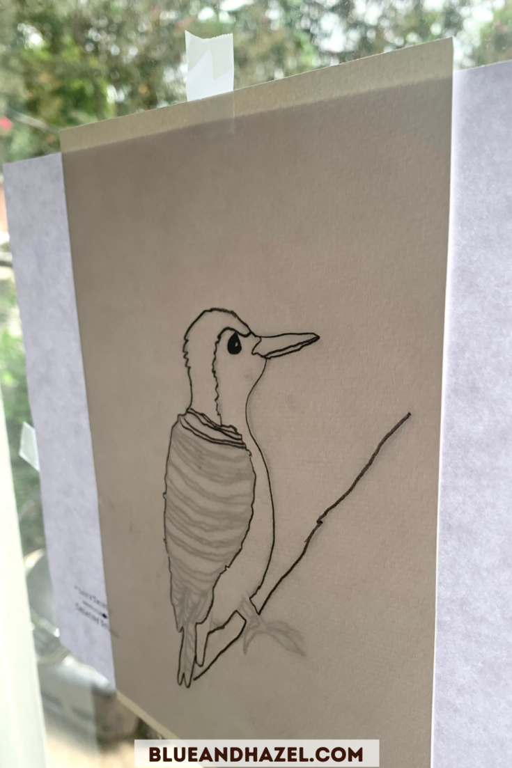 Window tracing of a woodpecker onto watercolor paper. 