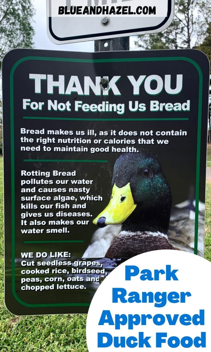 A sign at a park saying "Thank you for not feeding bread to the ducks" with a picture of a mallard duck on the front. 