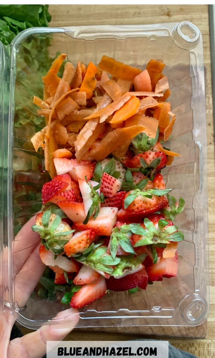 strawberry tops and carrot peelings in a plastic fruit clam shell used to feed the ducks. 