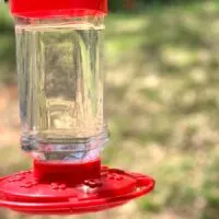 red hummingbird feeder filled with sugar water