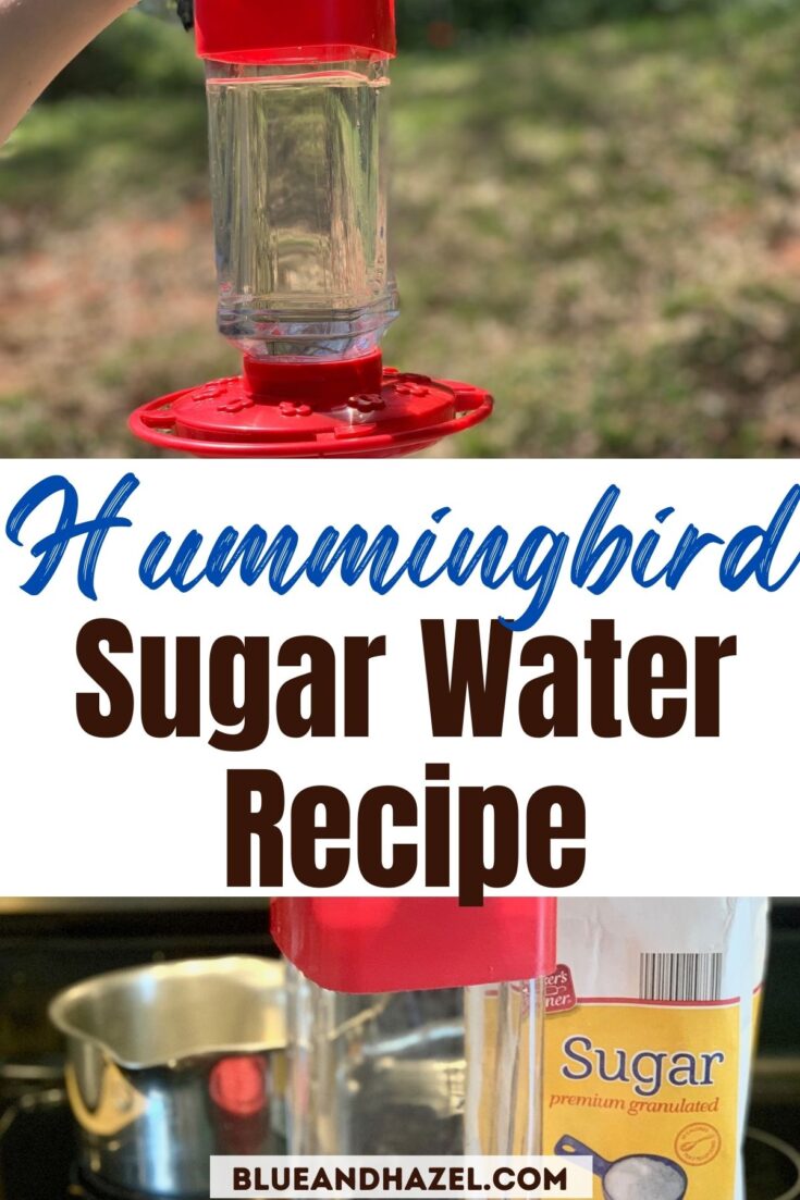 White sugar, a pan, and hummingbird feeder used to make hummingbird sugar water recipe