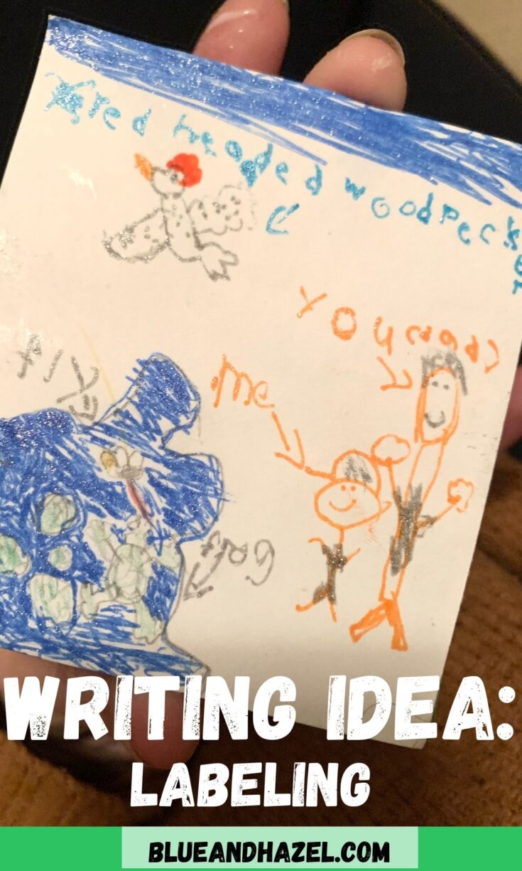 A picture hand drawn by a small child and labeled in child's handwriting.