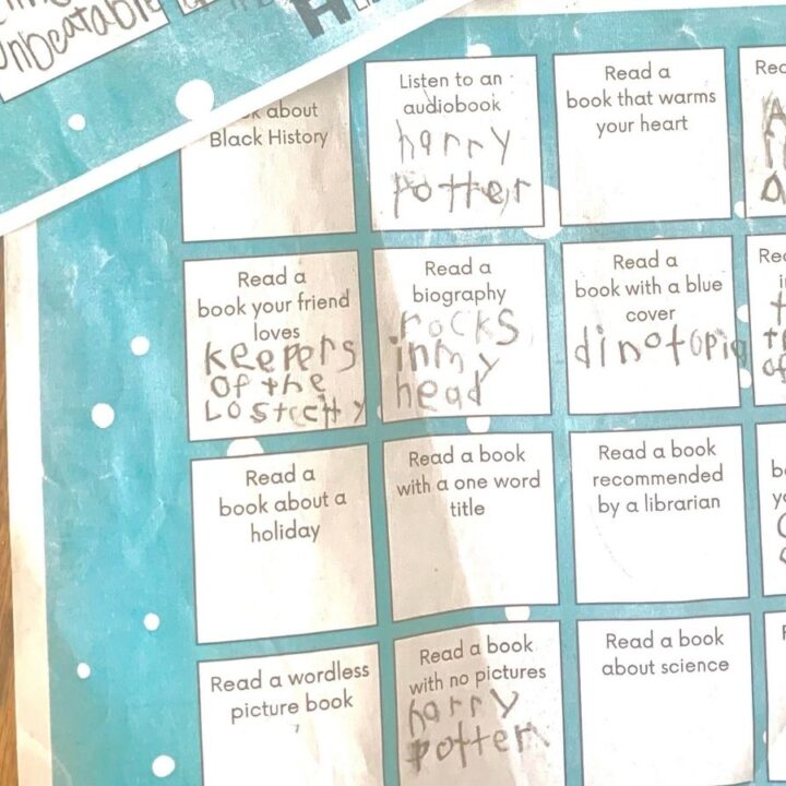 book bingo 2nd grade writing project