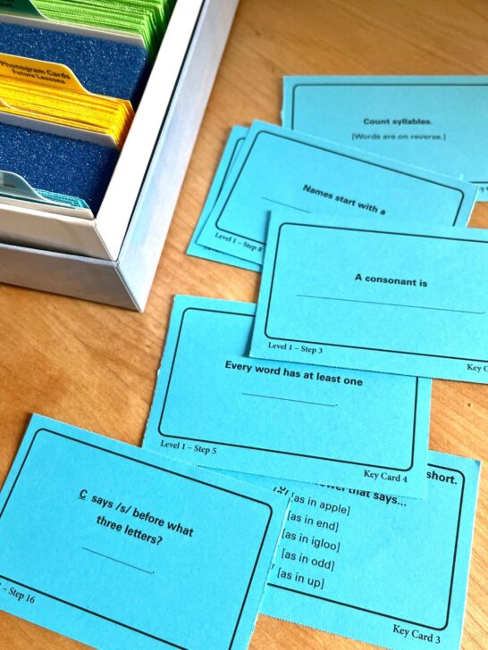 Blue key cards to learn spelling rules in All About Spelling level 1