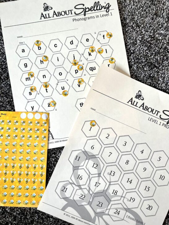 All about spelling progress sheet and bee stickers