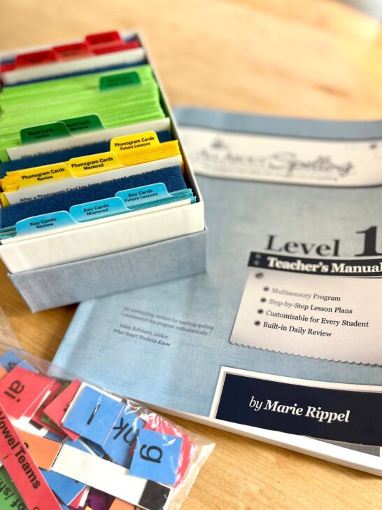 All About spelling magnetic tiles in a zip lock bag plus the teacher's manual and box of flashcards for level 1