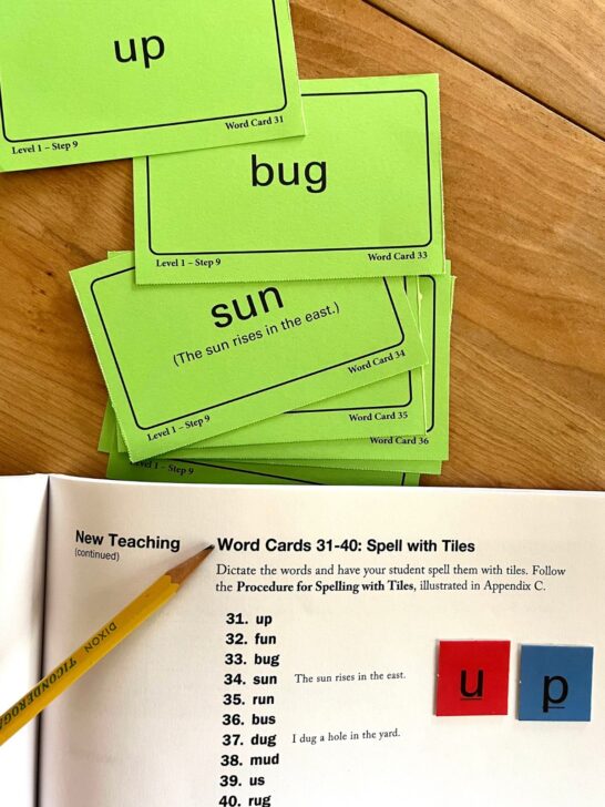 A lesson opened in All About Spelling using the word cards and magnetic tiles